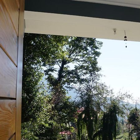 Angela'S Boutique Homes Dharamkot Дармсала Екстер'єр фото