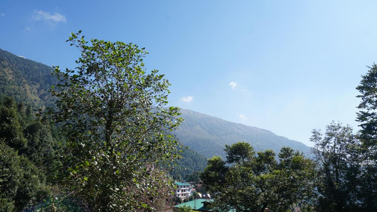Angela'S Boutique Homes Dharamkot Дармсала Екстер'єр фото